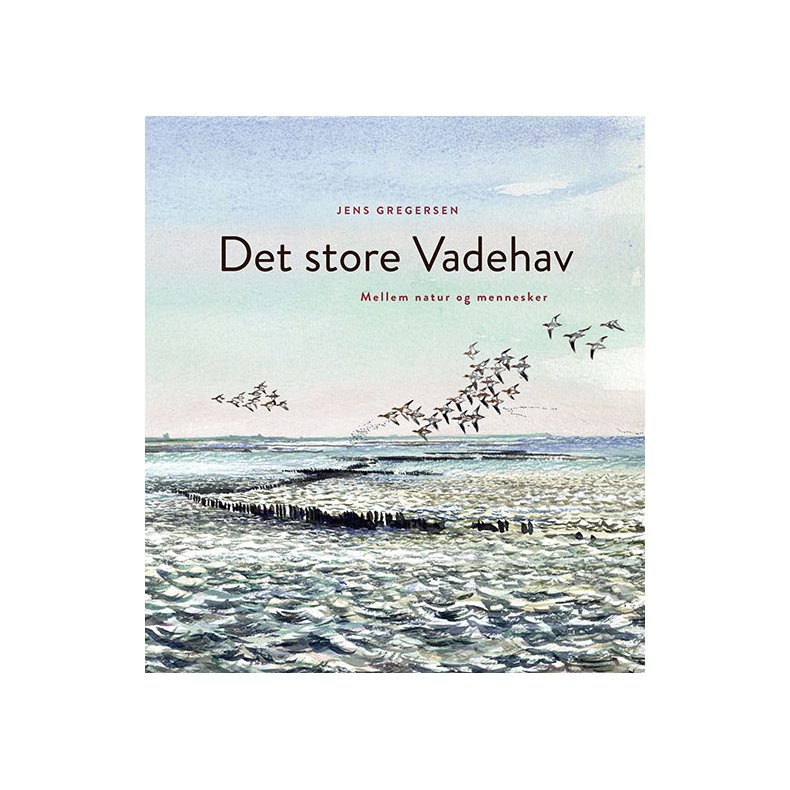 Det store Vadehav 