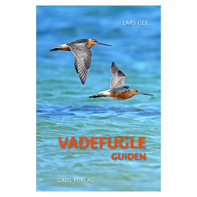 Vadefugleguiden 