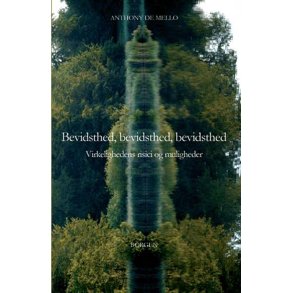 Bevidsthed, bevidsthed, bevidsthed Virkelighedens risici og muligheder