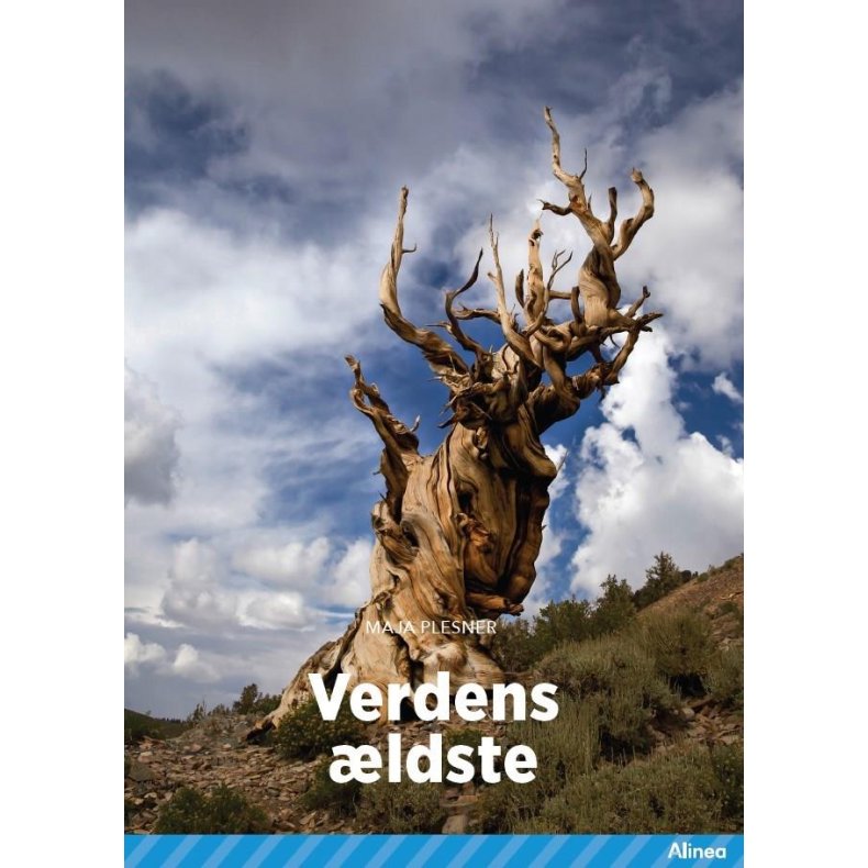 Verdens ldste, Bl Fagklub 