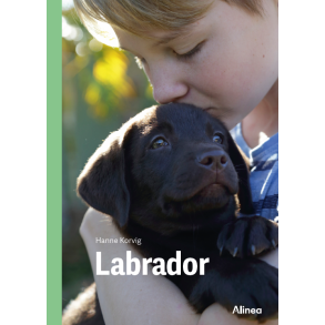 Labrador, Grn Fagklub 
