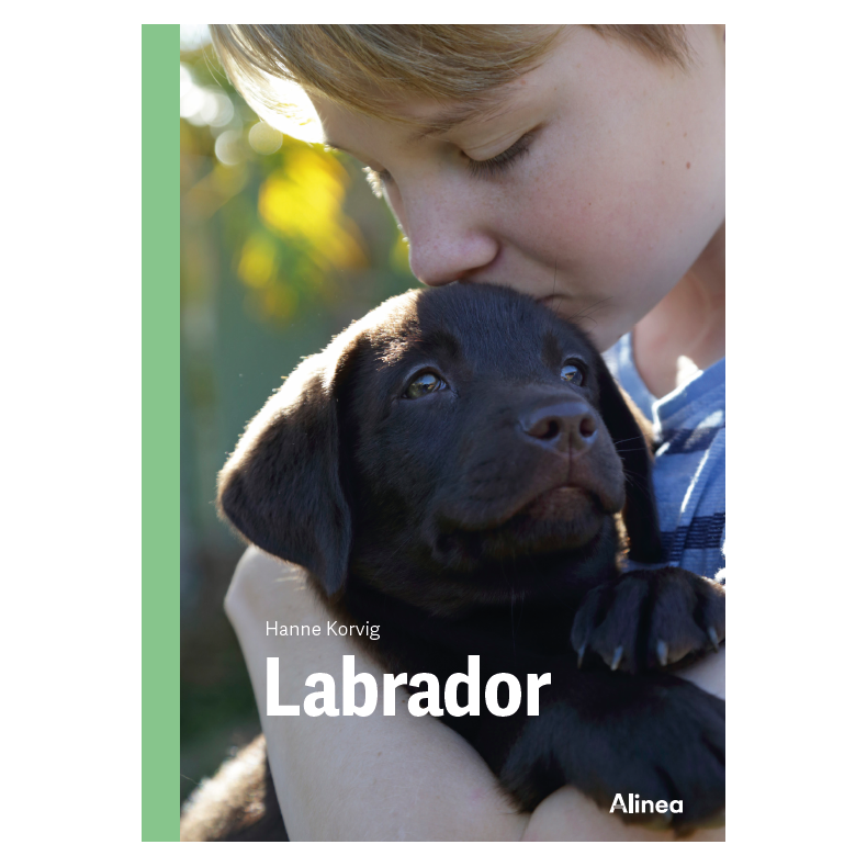 Labrador, Grn Fagklub 