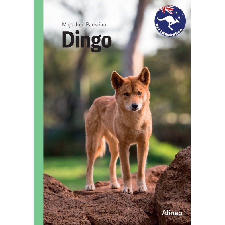 Dingo, Grn Fagklub 