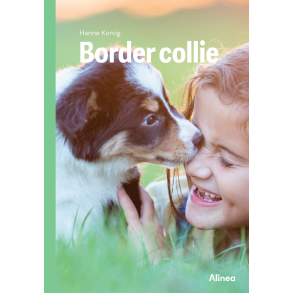 Border collie, Grn Fagklub 