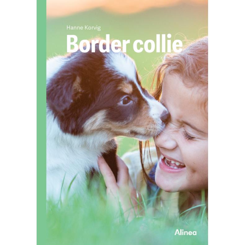 Border collie, Grn Fagklub 