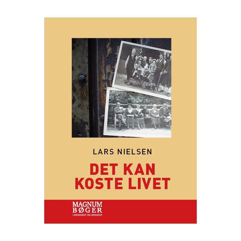 Det kan koste livet (Storskrift) 