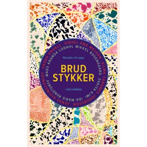 Brudstykker Noveller til unge