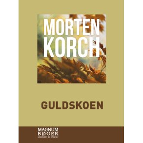 Guldskoen (Storskrift) 