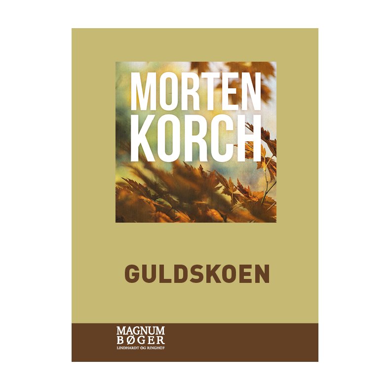 Guldskoen (Storskrift) 