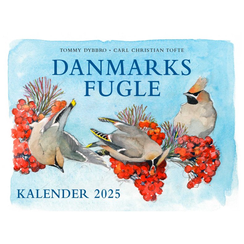 Danmarks fugle - kalender 2025 