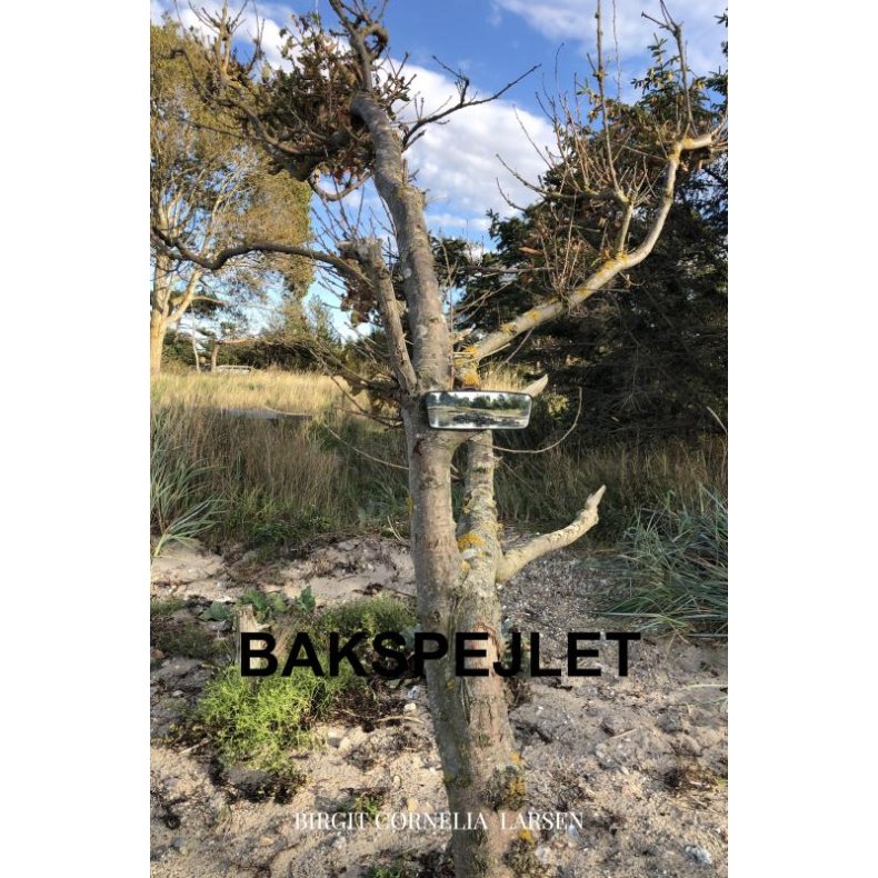 Bakspejlet 