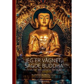 Jeg er vgnet, sagde Buddha - en introduktion til buddhismen som praksisvej