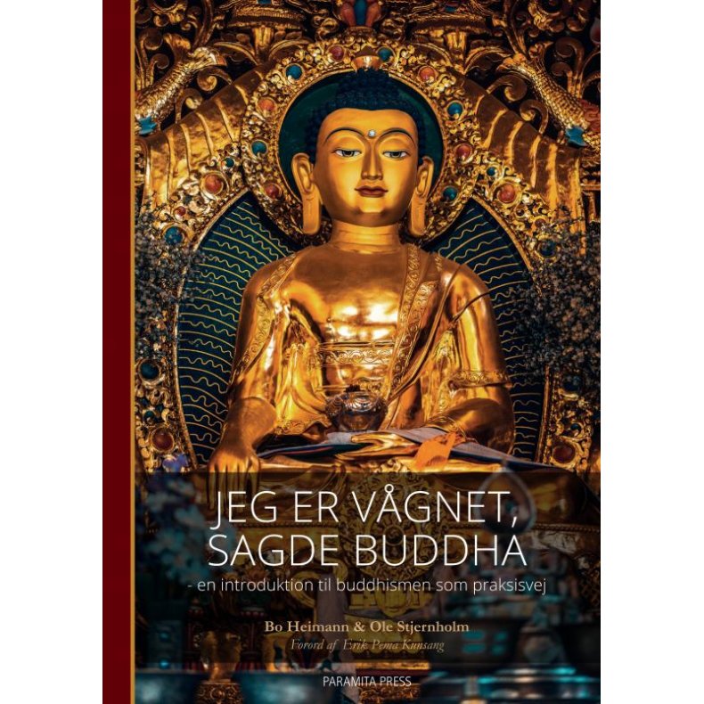 Jeg er vgnet, sagde Buddha - en introduktion til buddhismen som praksisvej