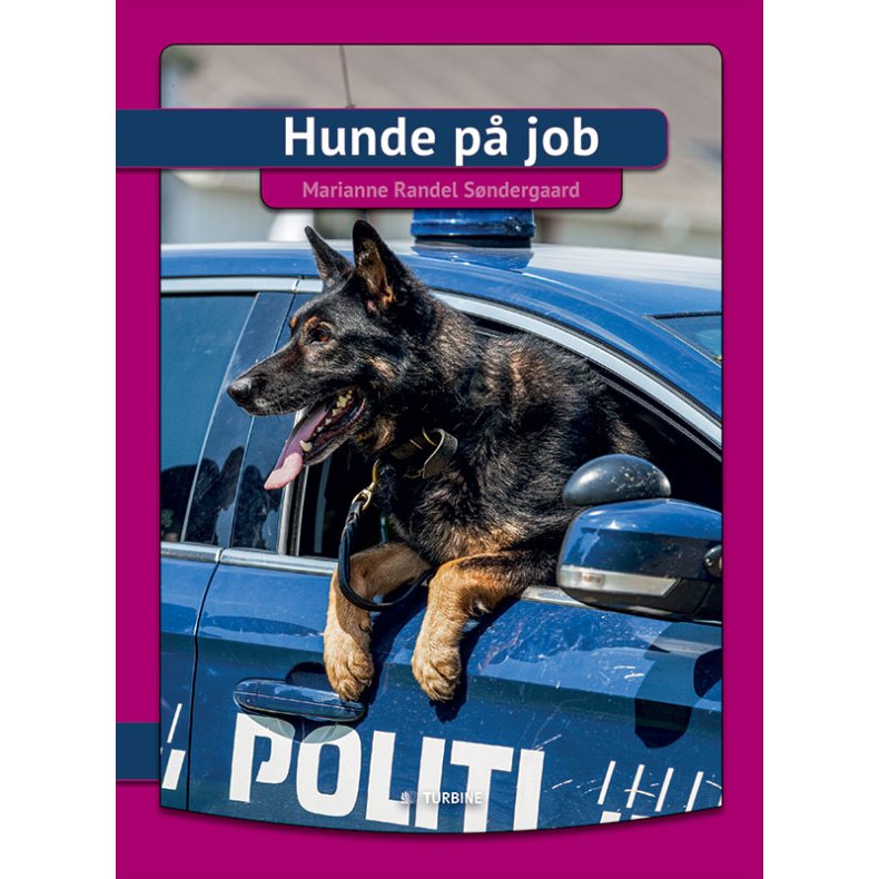 Hunde p job 