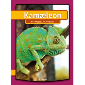 Kamleon 