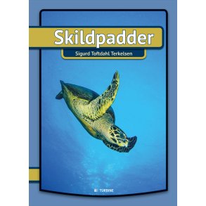 Skildpadder 