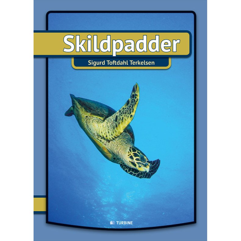 Skildpadder 