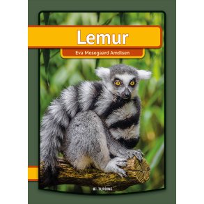 Lemur 