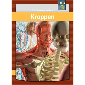 Kroppen 