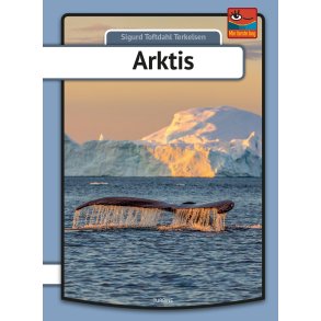 Arktis 