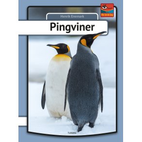 Pingviner 