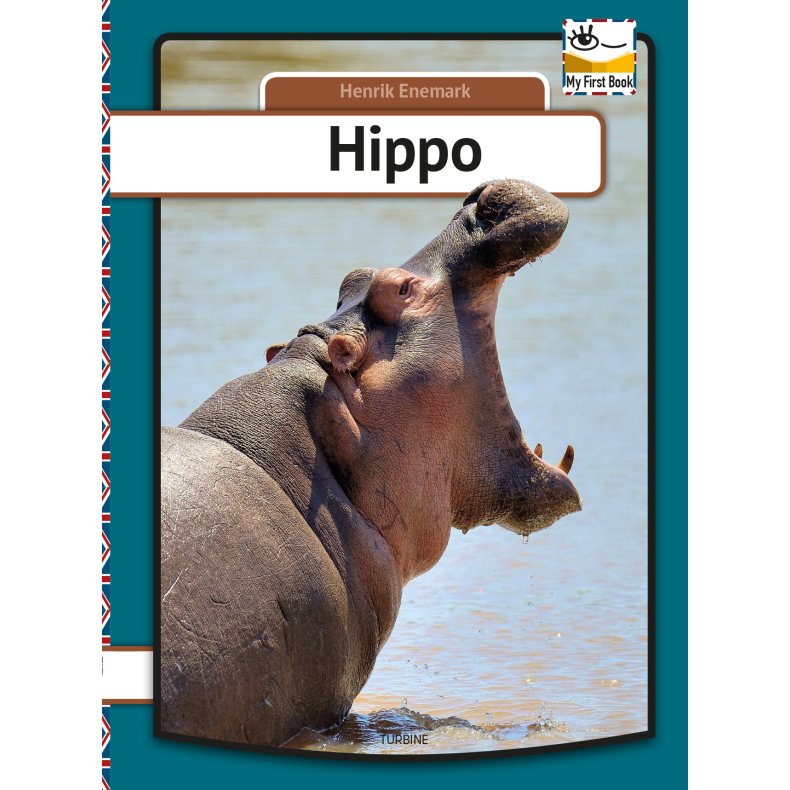 Hippo 