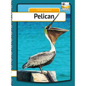 Pelican 