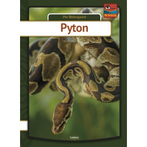 Pyton 