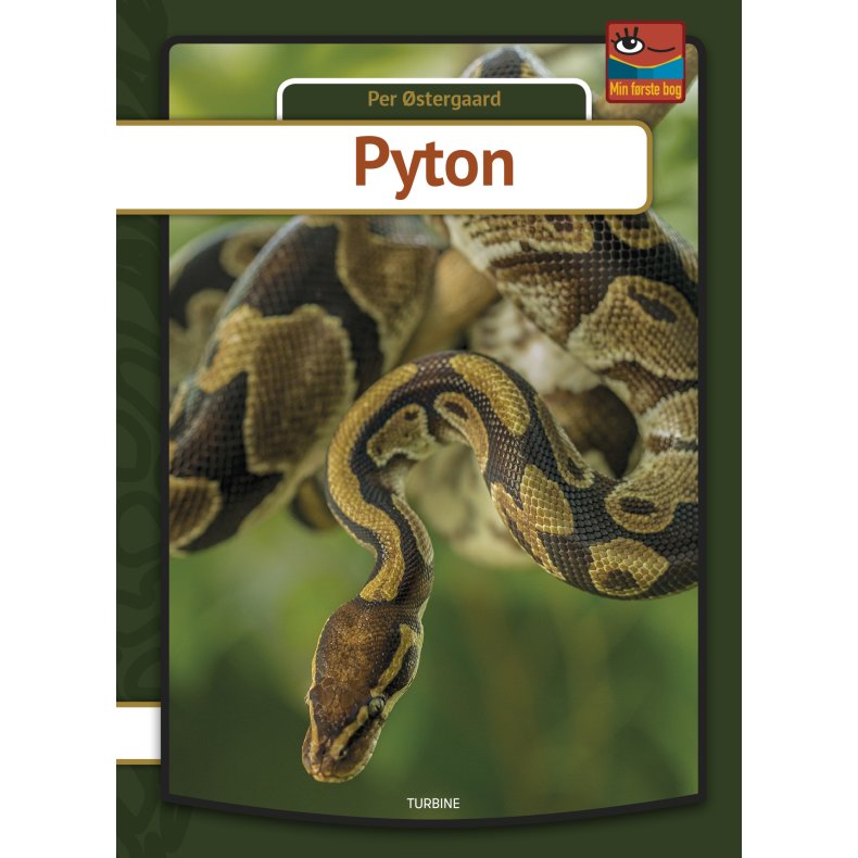 Pyton 