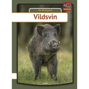 Vildsvin 