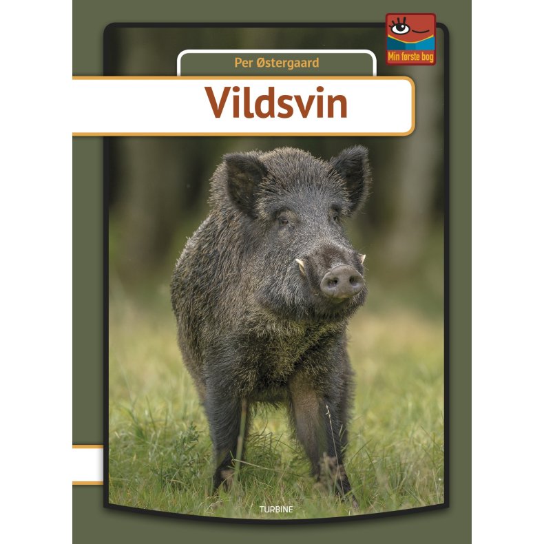 Vildsvin 