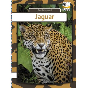 Jaguar - engelsk 