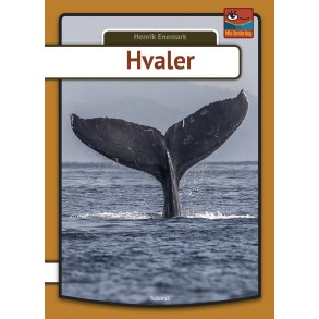 Hvaler 
