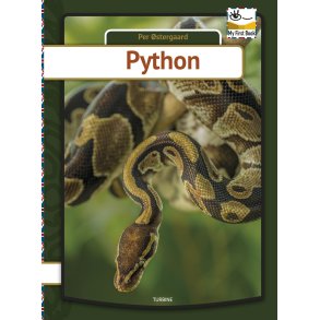 Python 