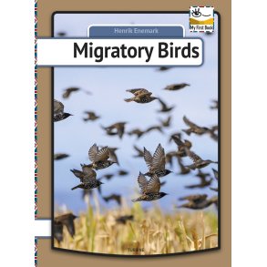 Migratory birds 
