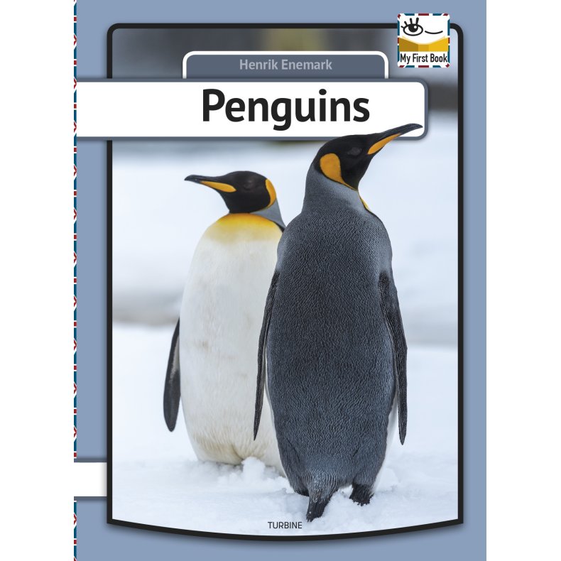 Penguins 