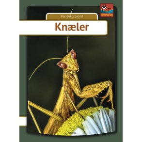 Knler 