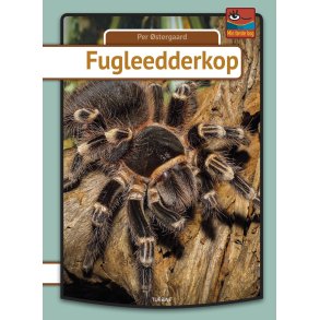 Fugleedderkop 