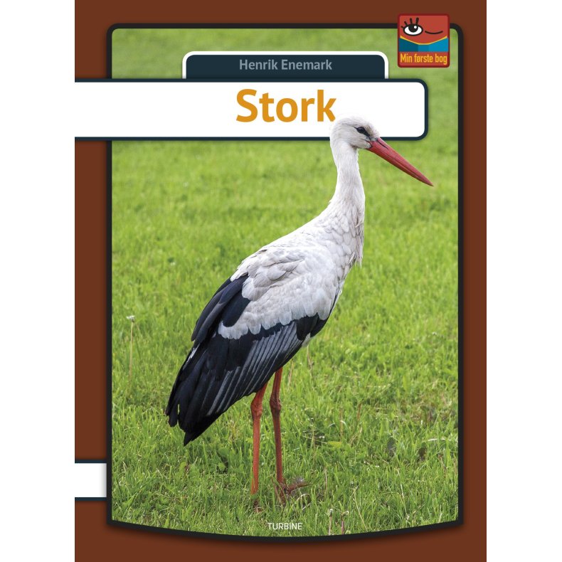 Stork 