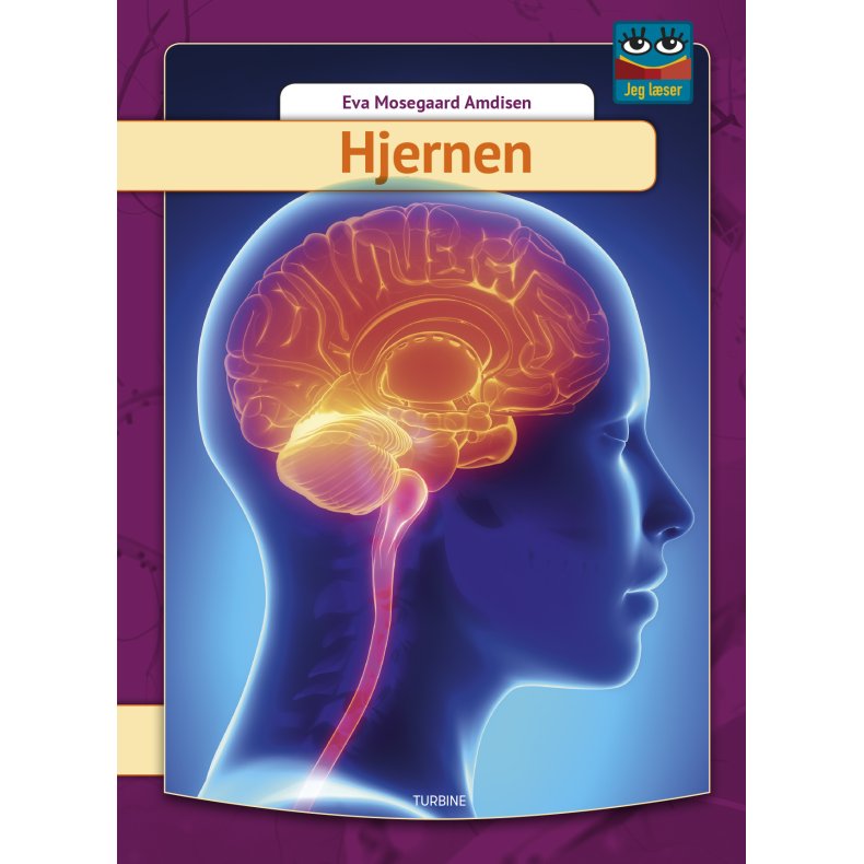 Hjernen 