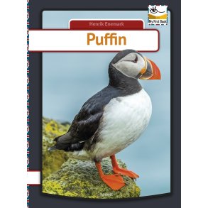 Puffin 