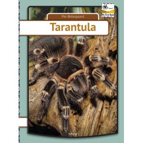 Tarantula 