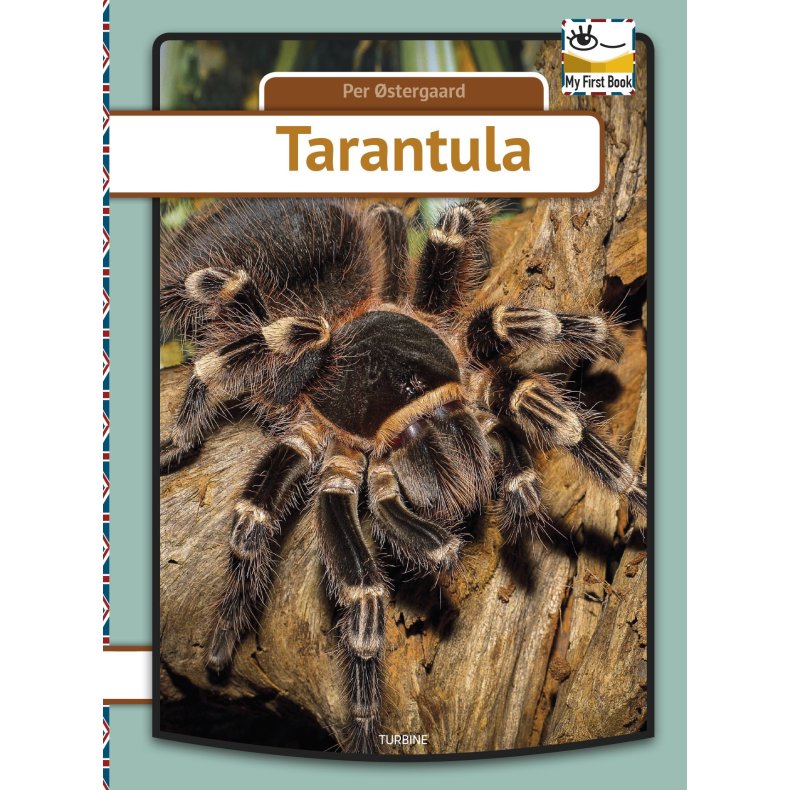 Tarantula 