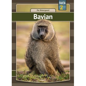 Bavian 