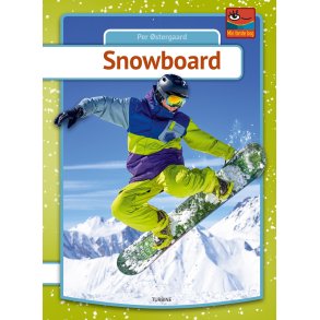Snowboard 
