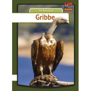 Gribbe 