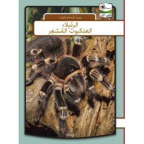 Fugleedderkop - arabisk 