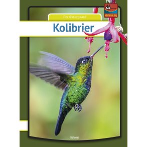 Kolibrier 
