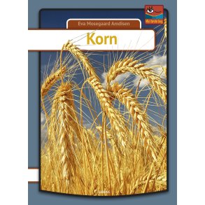 Korn 