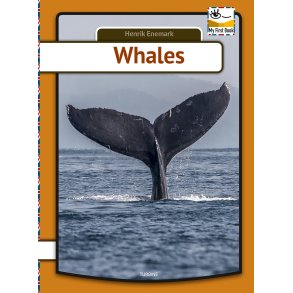 Whales 
